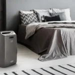 I migliori deumidificatori del 2025: guida completa per una casa più salubre