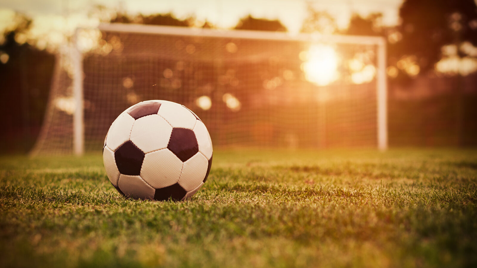 Pallone da calcio