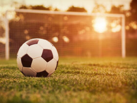 Pallone da calcio