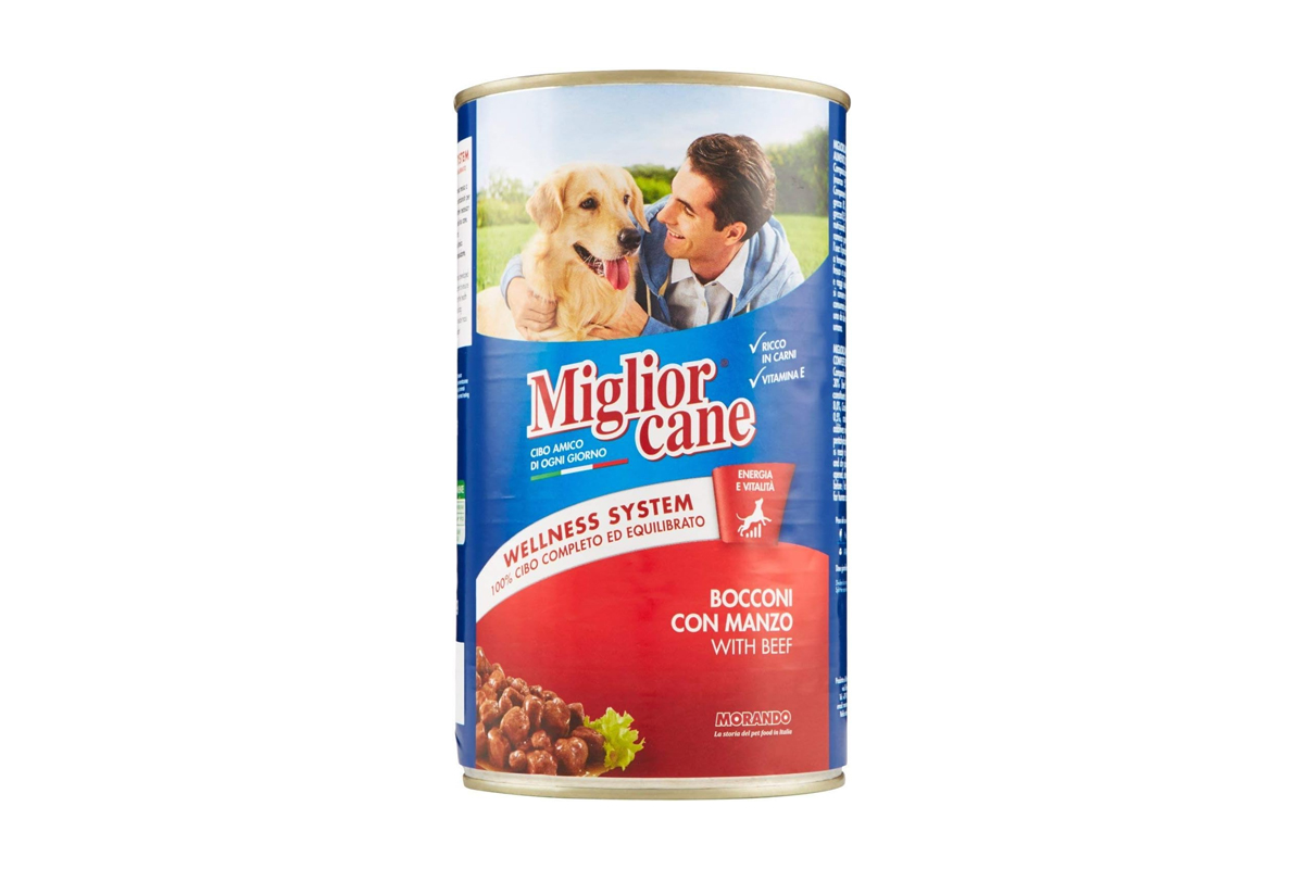 Migliorcane Bocconi